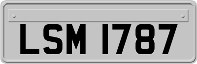LSM1787