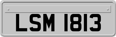 LSM1813