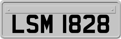 LSM1828