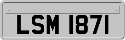 LSM1871
