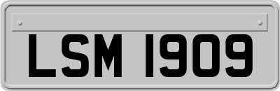 LSM1909