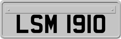 LSM1910
