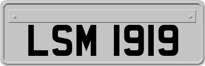 LSM1919