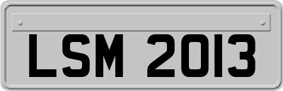 LSM2013