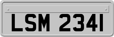 LSM2341