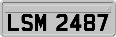 LSM2487