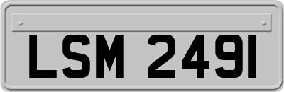 LSM2491