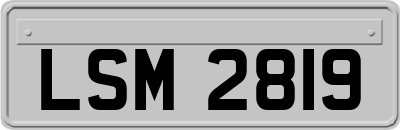 LSM2819
