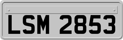 LSM2853