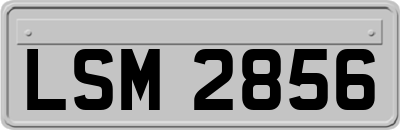 LSM2856