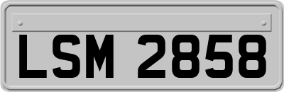 LSM2858