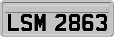 LSM2863