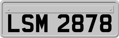 LSM2878