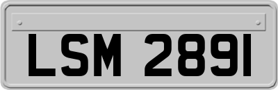 LSM2891