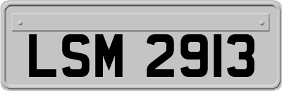 LSM2913