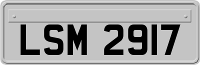LSM2917