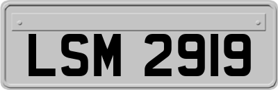 LSM2919