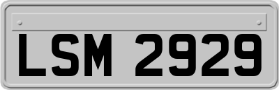 LSM2929