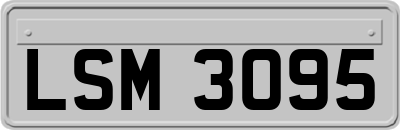 LSM3095