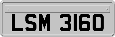 LSM3160