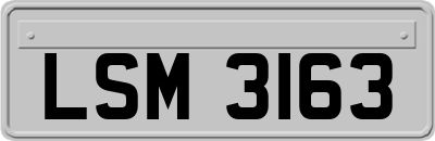 LSM3163
