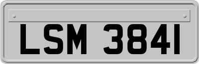 LSM3841