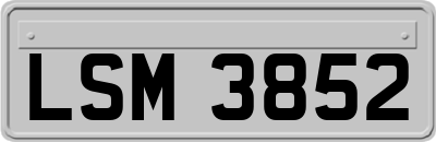 LSM3852