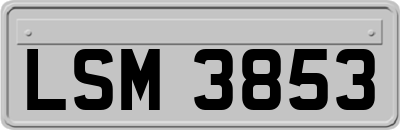 LSM3853