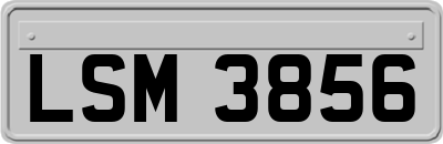LSM3856