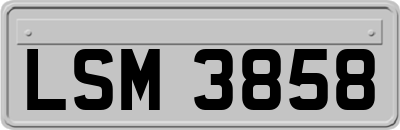 LSM3858