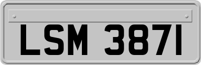 LSM3871