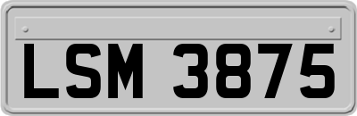 LSM3875