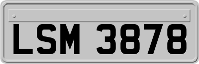 LSM3878
