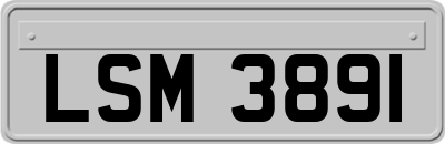 LSM3891