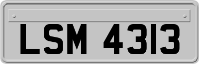 LSM4313