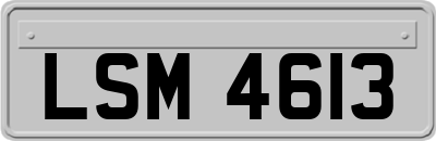 LSM4613