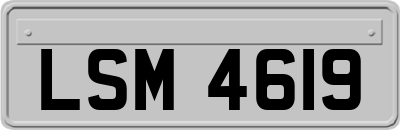 LSM4619