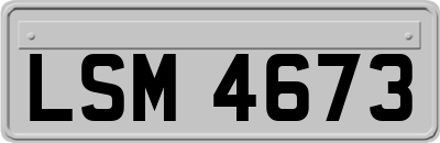 LSM4673