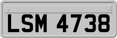 LSM4738