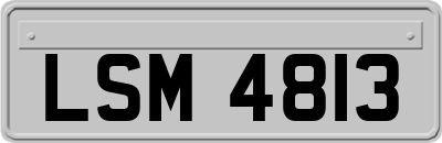 LSM4813