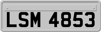 LSM4853