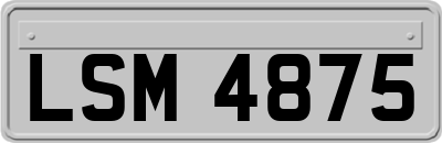 LSM4875