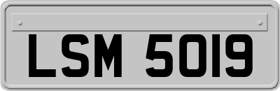 LSM5019