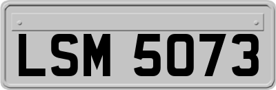 LSM5073