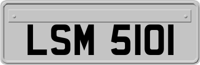 LSM5101