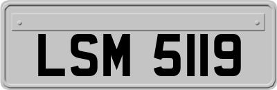 LSM5119