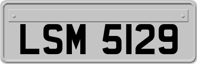 LSM5129
