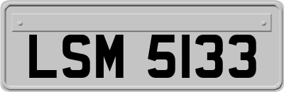 LSM5133