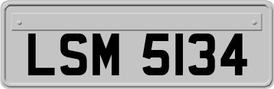 LSM5134