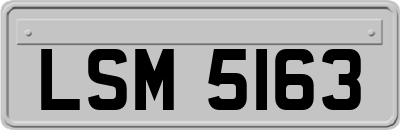 LSM5163